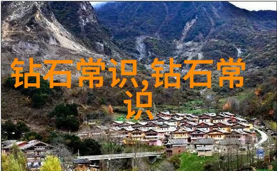 梦幻森林里的神秘旅程