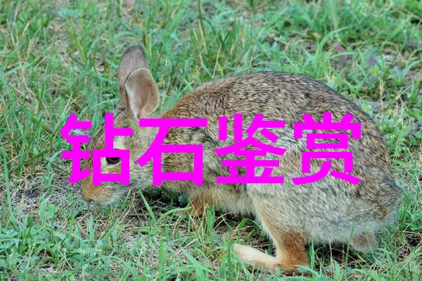 铣削与钻孔机器加工的十大秘籍