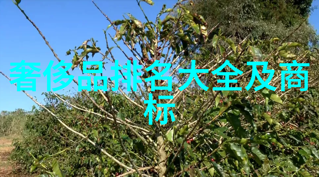 鲜艳如火橙紫绿大本钟探秘其价值与稀缺性