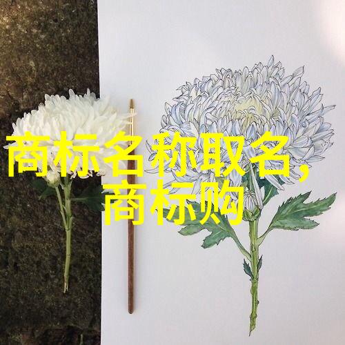 嫦娥奔月的故事-从地到月嫦娥传说与现代探索的交汇