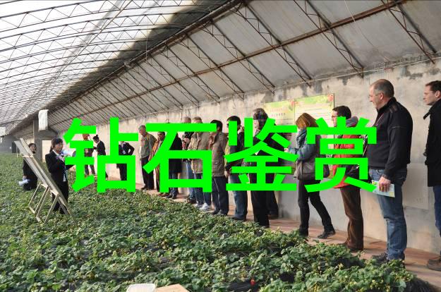 工程管理的智慧如何高效推动项目顺利完成