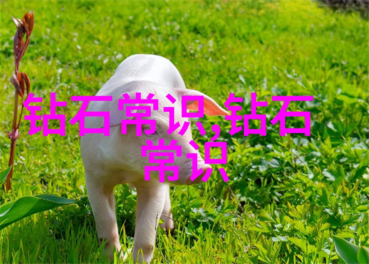 我的工艺工程师日记从实验室到生产线的技术探索