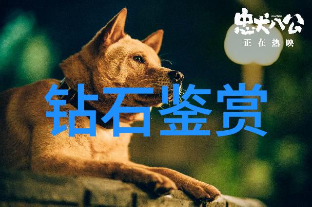 春天的故事我和小明青蛙的春归记
