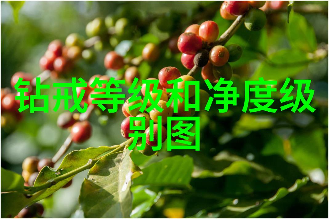 文化根源传承与创新之旅