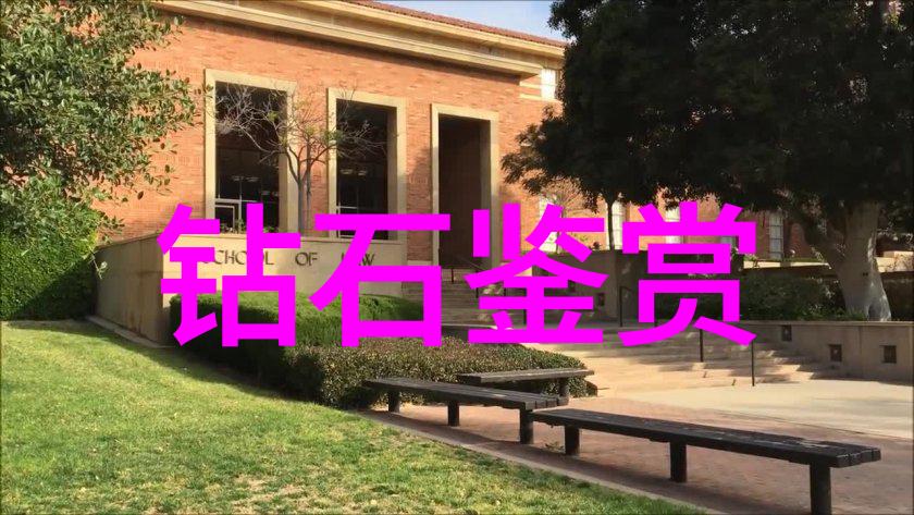色彩与氛围营造提升动画视觉效果