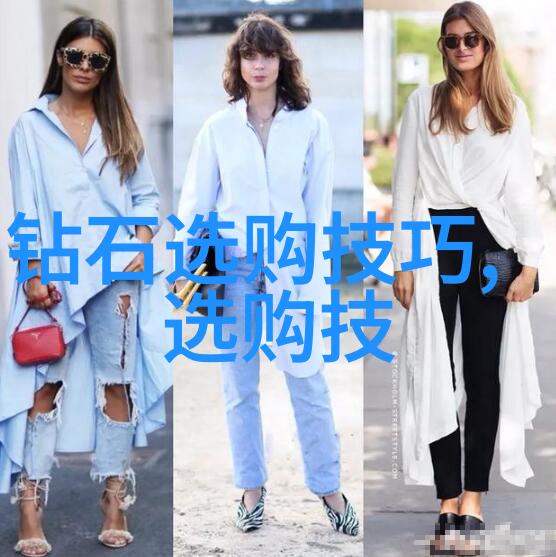 审计学专业研究从传统到现代的演变与挑战