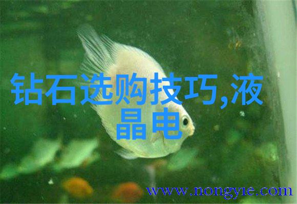 国家珠宝鉴定网站权威解锁您的珍品价值