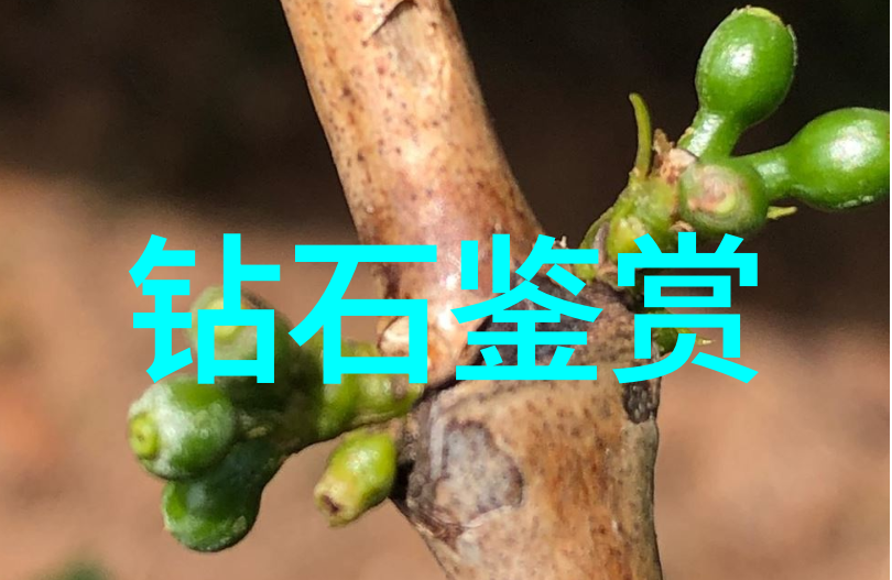 超级英雄秘密大赛揭秘无名小子如何拯救世界