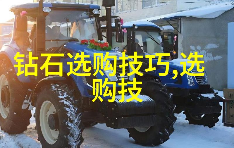 胡萝卜先生的奇异长胡子寻宝之谜