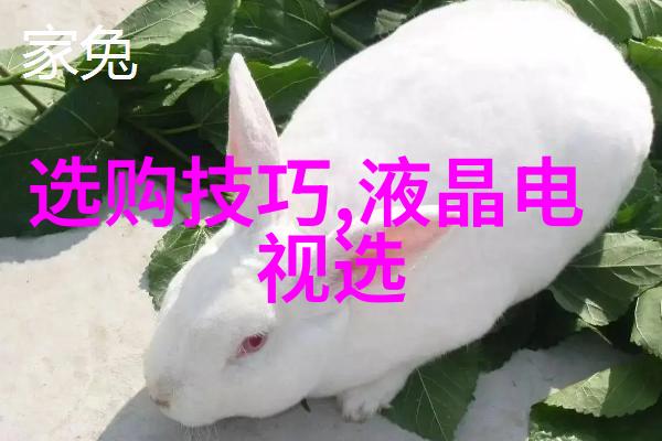 在颜真卿创作千字文时他有什么灵感来源或特殊的心理状态吗