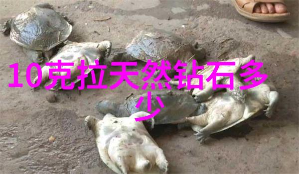 主题我13岁又痛又叫内凝青春的第一场雨