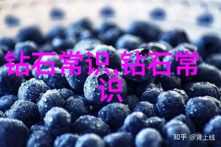 知识的殿堂学科门类的诗意探索
