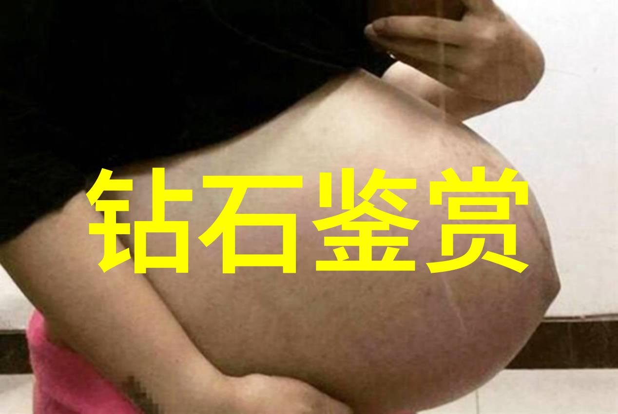 探究卓越构筑高效专业技能的学术路径