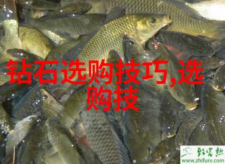 世界著名钻石中排名大钻超级钻无匹敌钻