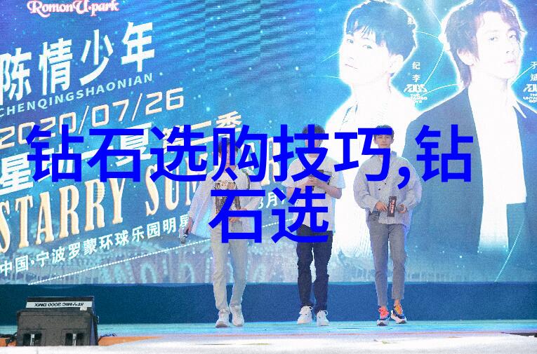 手工艺匠的传统技艺守护文化遗产的艺术独家制
