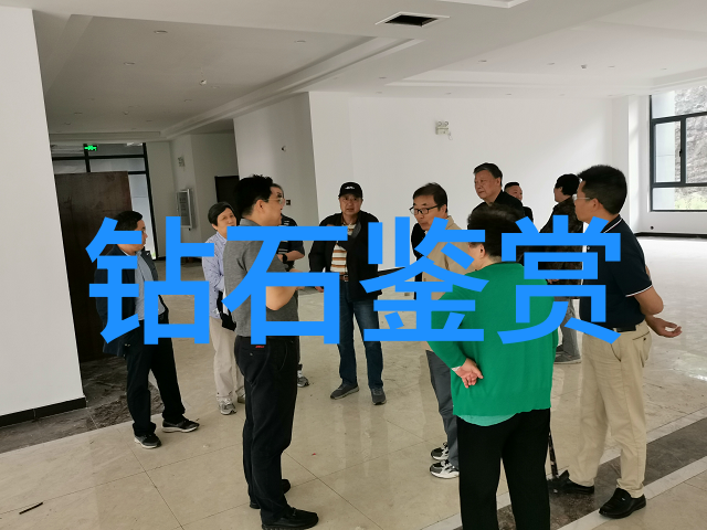 精准宝石戒指鉴定系统高科技识别技术