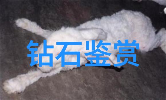 工艺与流程未解之谜