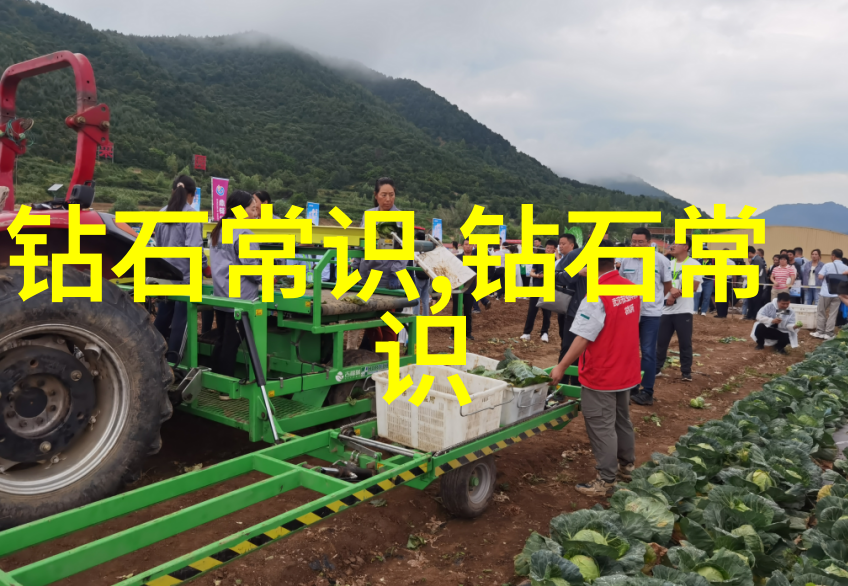 室内设计考研空间美学与功能实践的双重探究