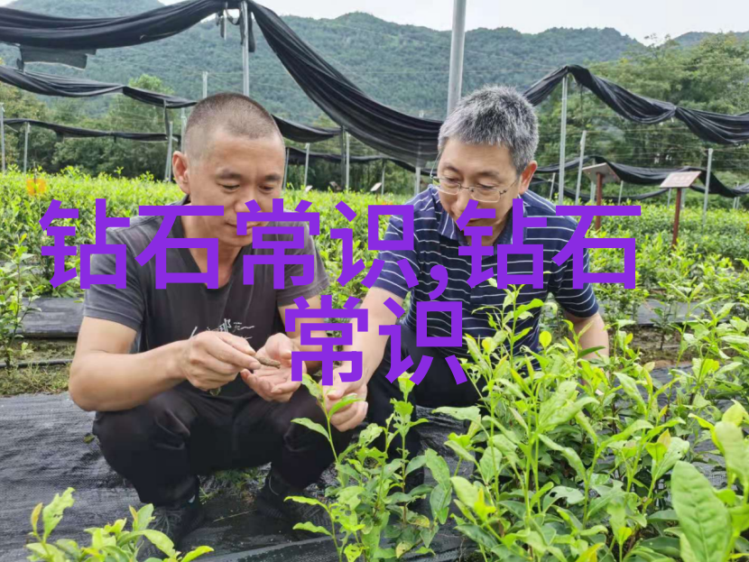 国家珠宝玉石鉴定师专业评估古董首饰与璀璨宝石