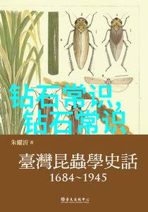 金银花露的香气TXL厨房里的秘密配方