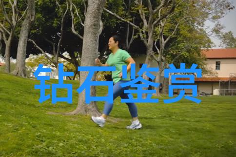 中国在国际上的哪些手技展览获得了最广泛的认可和赞誉