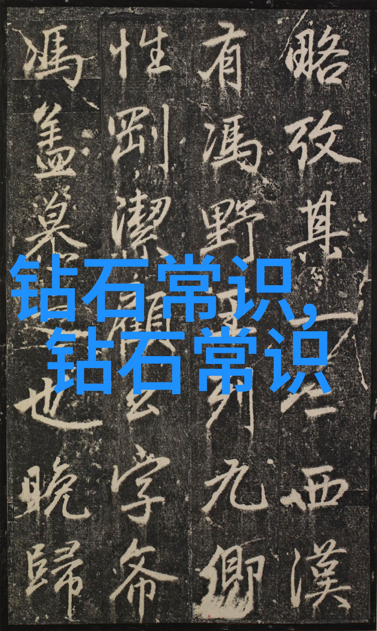 山东轻工业学院-追忆与展望一所培育实践者之地的故事