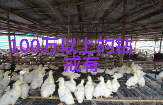 价值上亿的玉石我亲眼见证了这场玉石交易中的惊心动魄