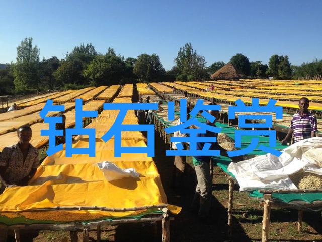 玉的真假鉴赏与认证考古学视角与现代技术手段的结合
