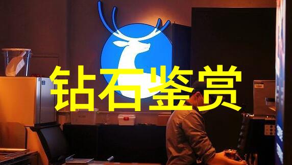 真假玳瑁与珠宝如何区分让我们一起探究