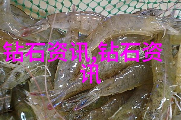 传统文化包括探索中华民族的历史与精神遗产