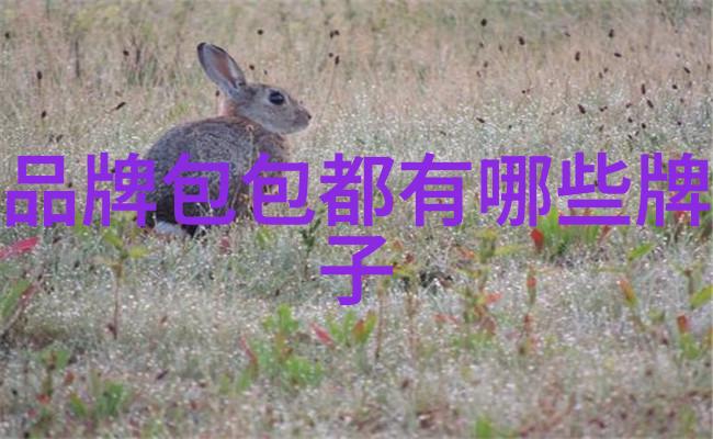 对对于新兴产业中国企业500強采取了哪些策略来适应变化