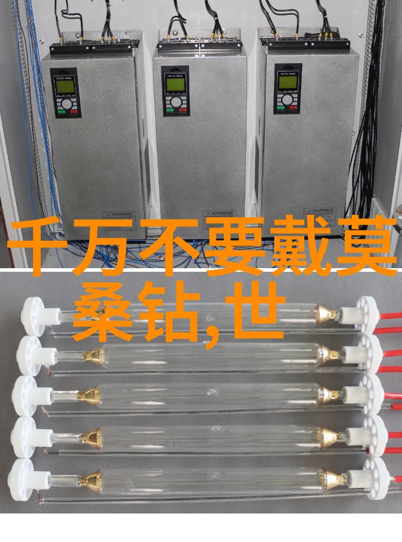 宠物美容师的艺术世界从毛茸茸到时尚模特
