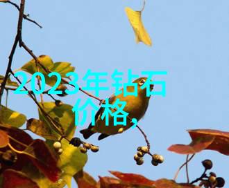 钻石世界揭示神秘宝石的奥秘