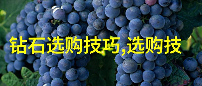 厨房运动剧烈老师的大兔子鹿 - 烹饪与激情的奇妙碰撞