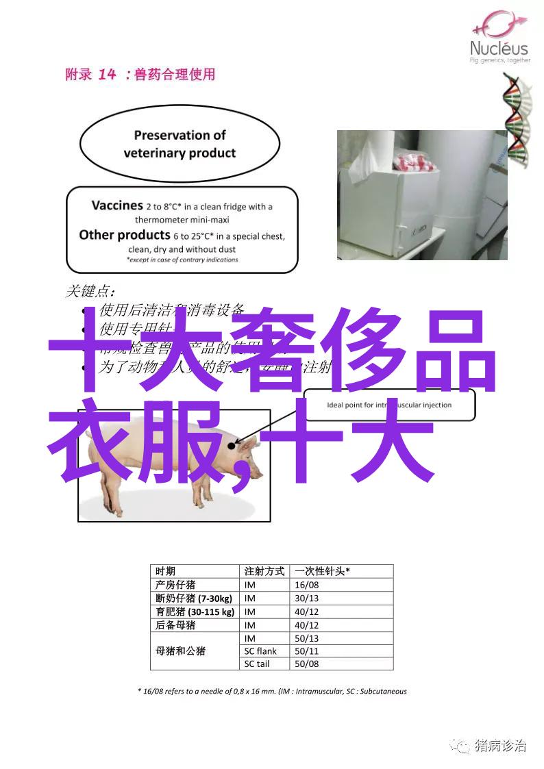 工艺的魅力手中的灵魂作品的见证