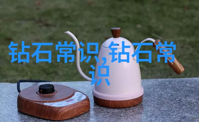 中西方文化差异的比较研究深度探究与实证分析