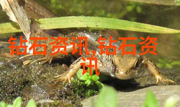 家居美学从简到繁的室内装饰艺术探索