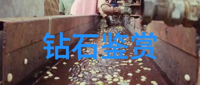 中西方文化差异课题研究报告-跨界对话揭示两大文明世界观与价值体系的深层差异