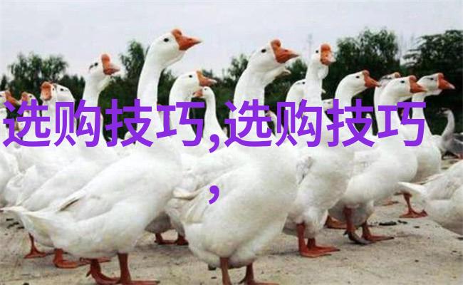 工艺品-精彩纷呈揭秘各种工艺品的魅力