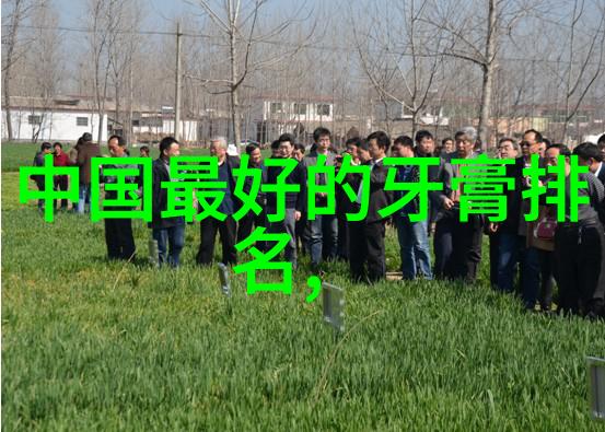安全工程保障生产稳定与风险防范的关键体系