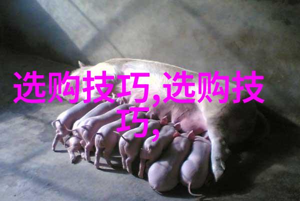河畔的记忆老卫与那段悠长的航程