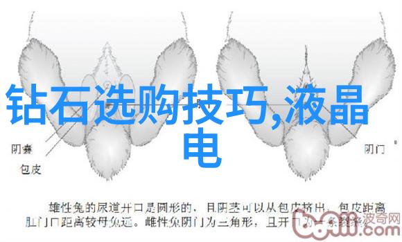 机匠之谜数控工作者的青春边界