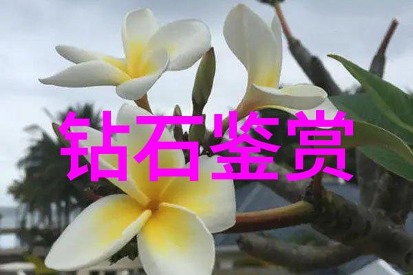萝卜头的冒险之旅它会遇到什么样的挑战