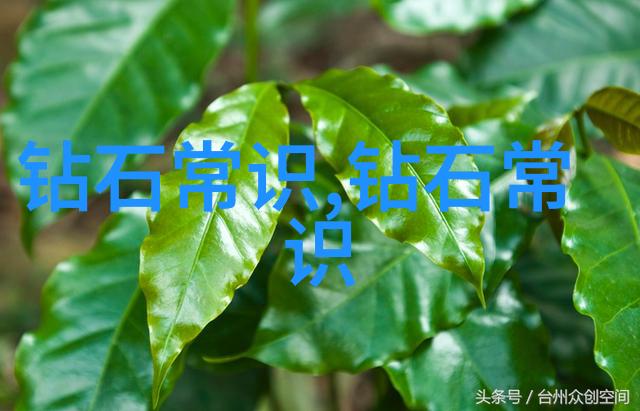 和田玉鉴定流程详解从送检到获取证书的全过程