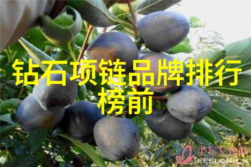 璀璨豪华与简约之美揭秘全球最贵项链的反差魅力