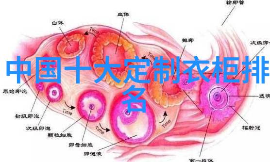 在世界最有钱国家前十名中你能找到卡地亚Libre钻石手表系列吗