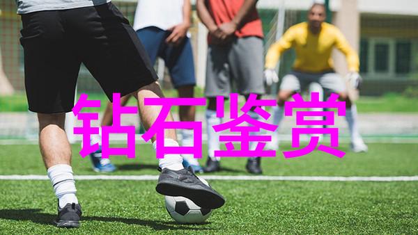 国家珠宝鉴定网站确保您的珍贵收藏品价值的准确评估