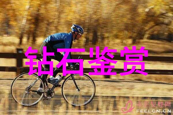 常见的工艺品类型-精彩纷呈揭秘家居装饰中的艺术珍品