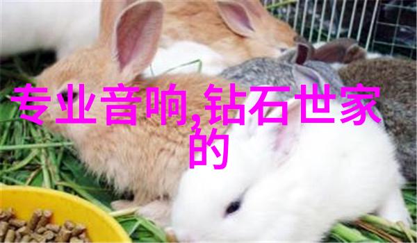 迈开腿尝尝你的森林樱花动漫我的森林樱花冒险一场触摸春天的奇妙之旅