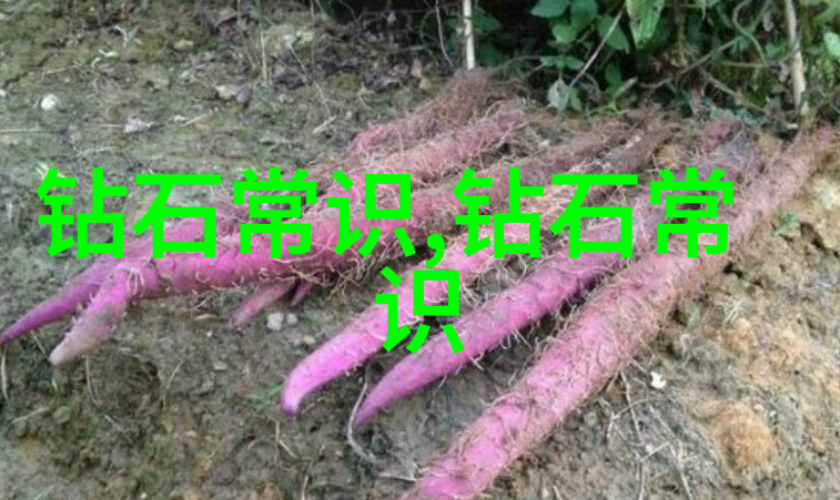 翡翠鉴定指南高精度翡翠鉴别方法